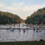 free-swim