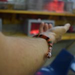 reptile-and-amphibian-study-1