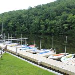sail-boats