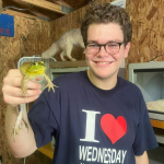 samfrogs