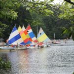 small-boat-sailing-4
